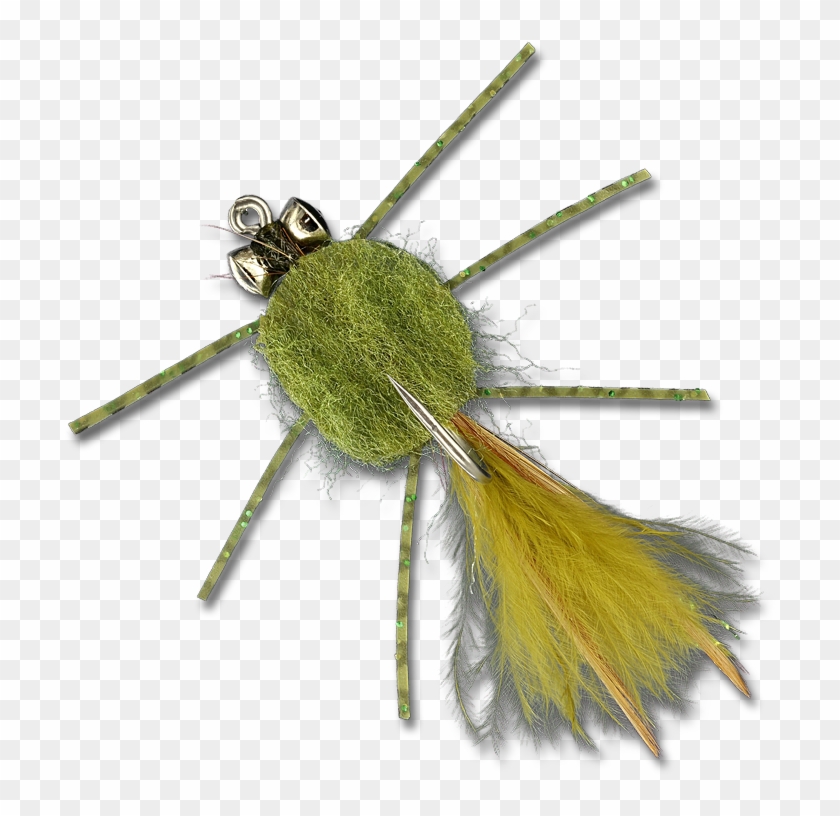 The Raghead Crab - Net-winged Insects Clipart