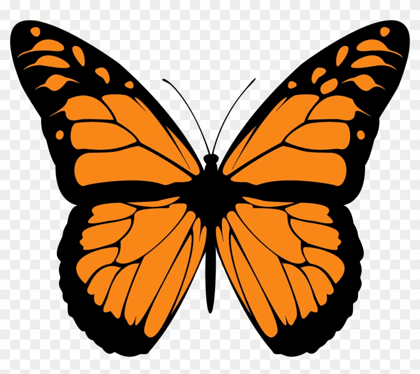 Clip Art Library Stock Butterfly Big Image Png - Monarch Butterfly Print Out Transparent Png #467775