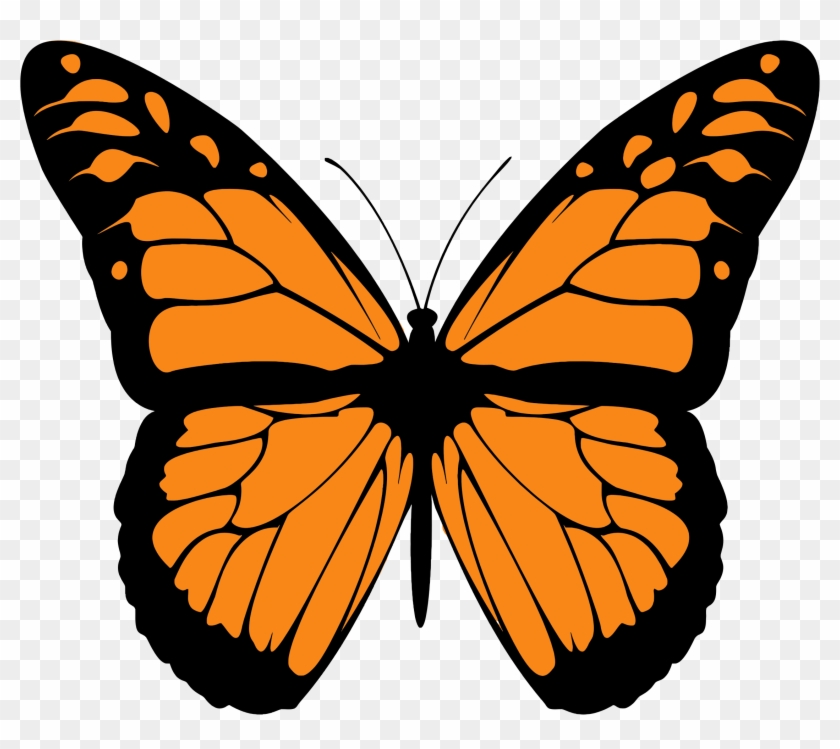 Clip Art Library Stock Butterfly Big Image Png - Monarch Butterfly Print Out Transparent Png