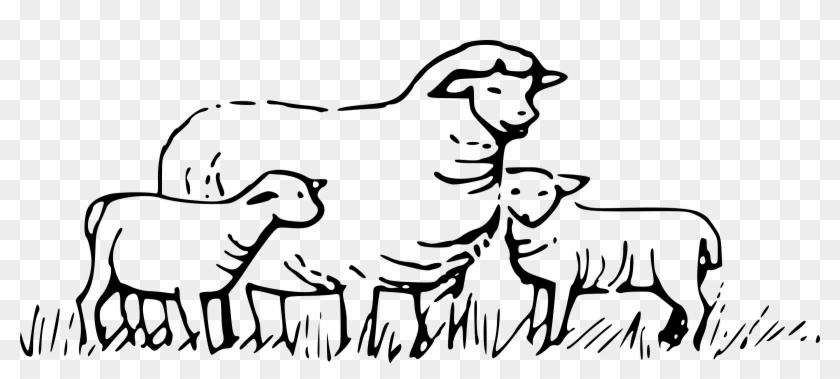 Sheep In Field Icons Png - Herd Of Sheep Clipart Transparent Png