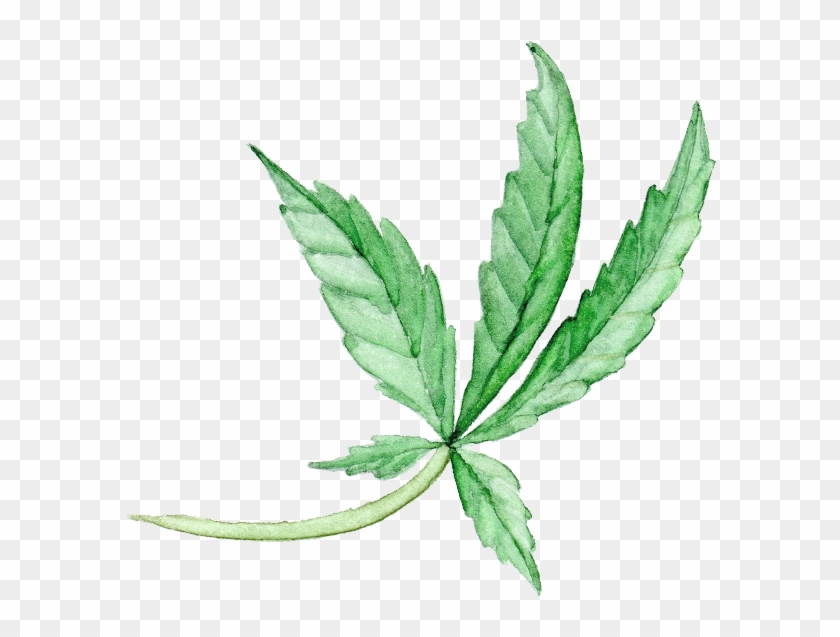 Our Story - Illustration Clipart