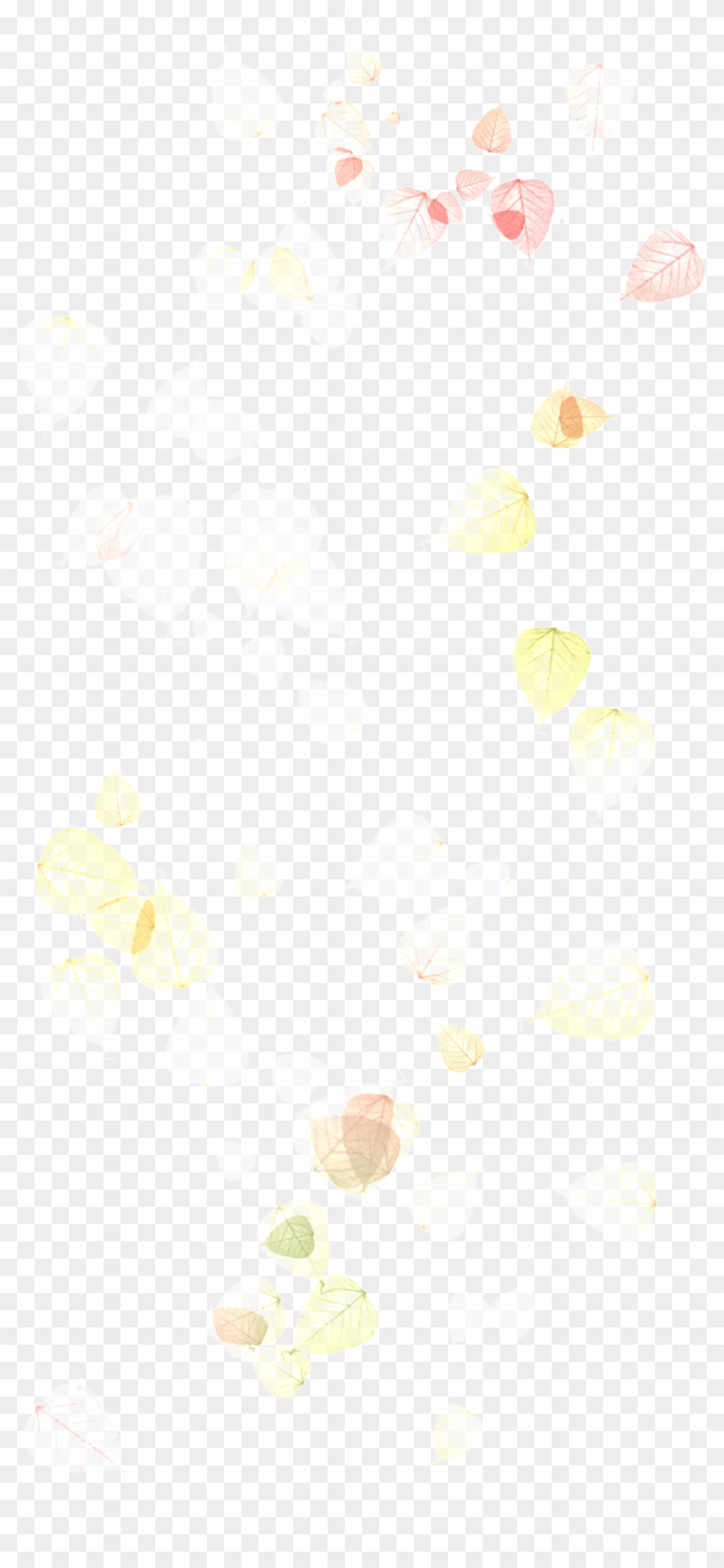 Autumn Sunset Leaves - Wallpaper Clipart