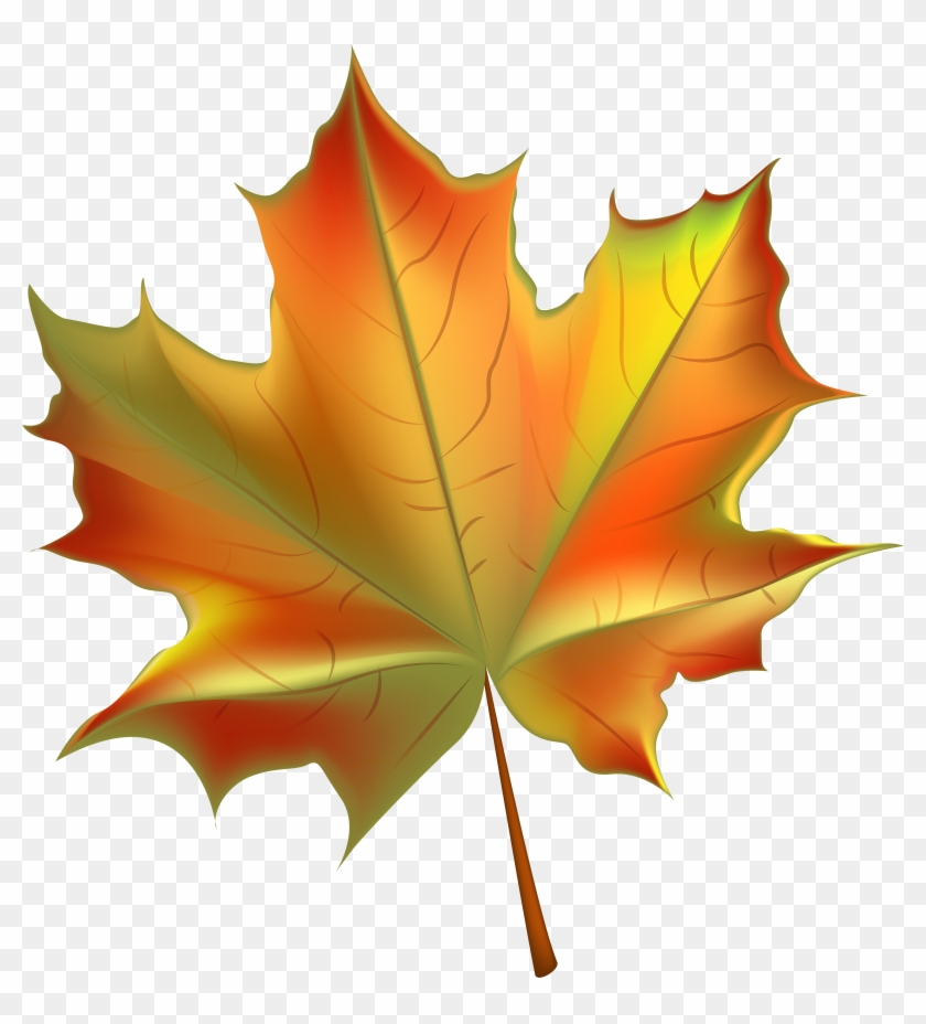 19 Clipart Pot Leaf Huge Freebie Download For Powerpoint - Fall Leaf Clipart Transparent - Png Download #468200