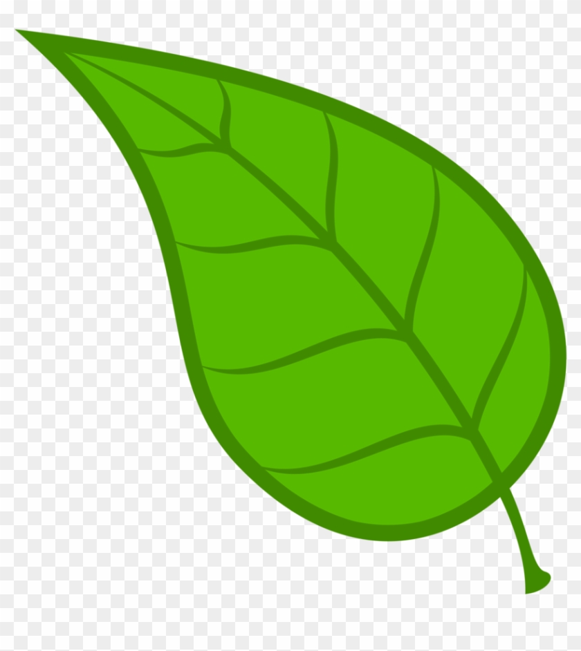 Collection Of Free Leaf Vector Cdr - Leaf Clipart Png Transparent Png