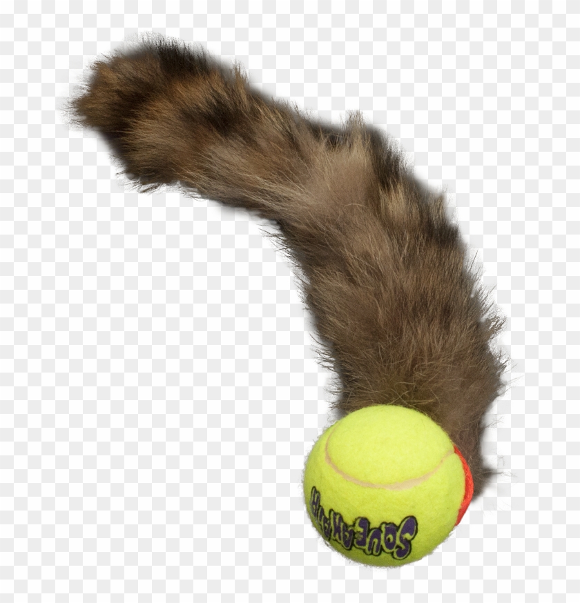 Tennis Ball With Tail Pet Toy Clipart #469904