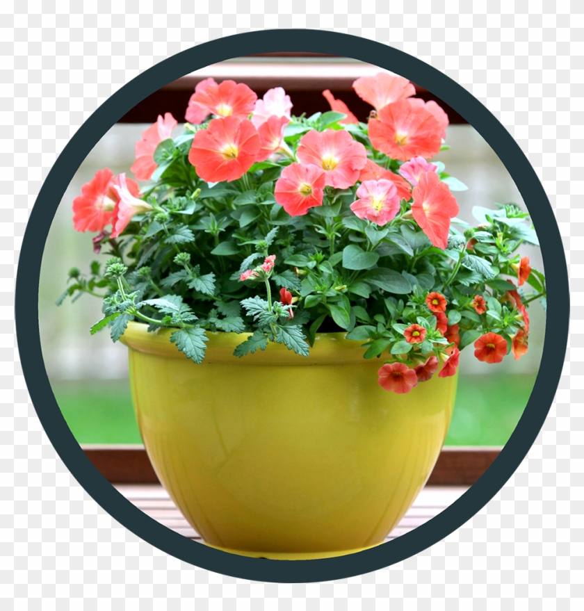 Point Of Purchase - Flowerpot Clipart #4600199