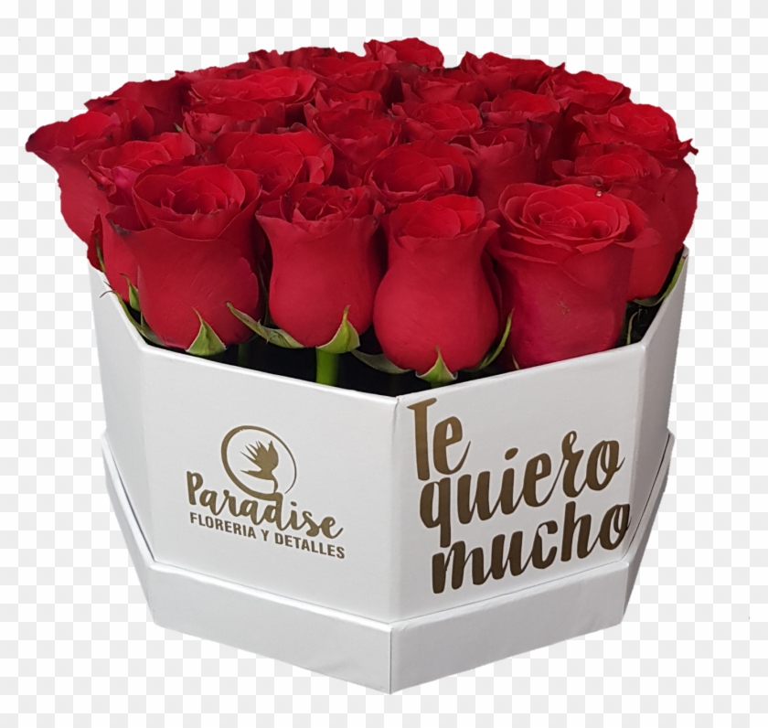 Caja De Rosa Roja C-19 - Garden Roses Clipart