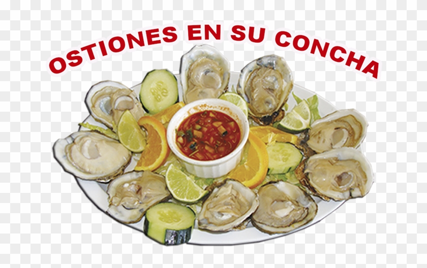 Bienvenidos A Los Lagos Mariscos - Tiostrea Chilensis Clipart