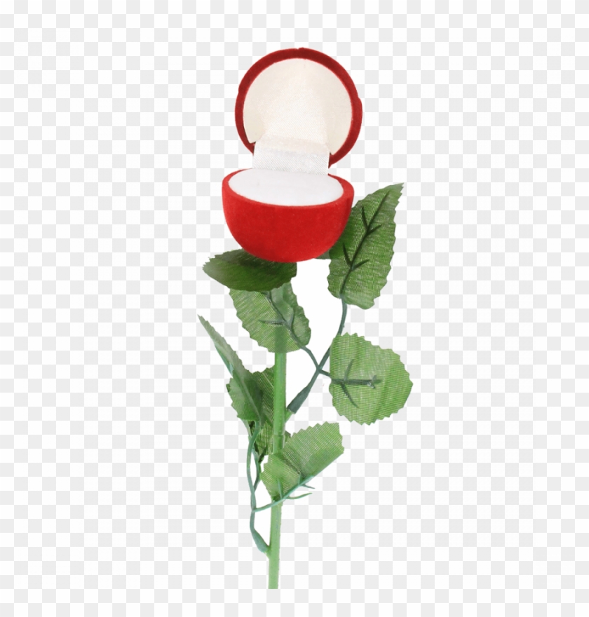 Estuche Rosa Roja Con Ramo - Garden Roses Clipart #4600284