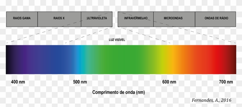 Espectro Luz Visível - Spectre D Absorption De La Lumière Clipart