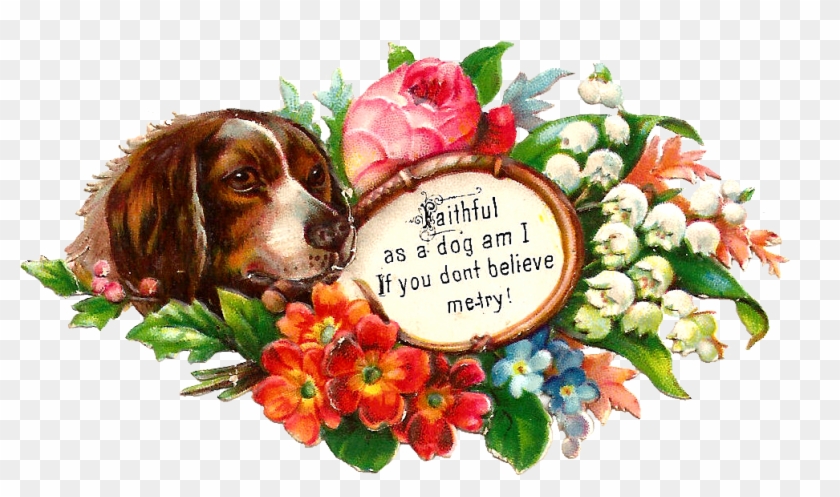 May Flowers Cliparts - Basset Hound - Png Download #4600969
