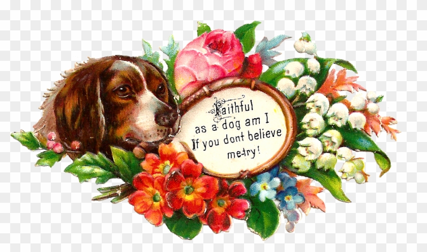 May Flowers Cliparts - Basset Hound - Png Download