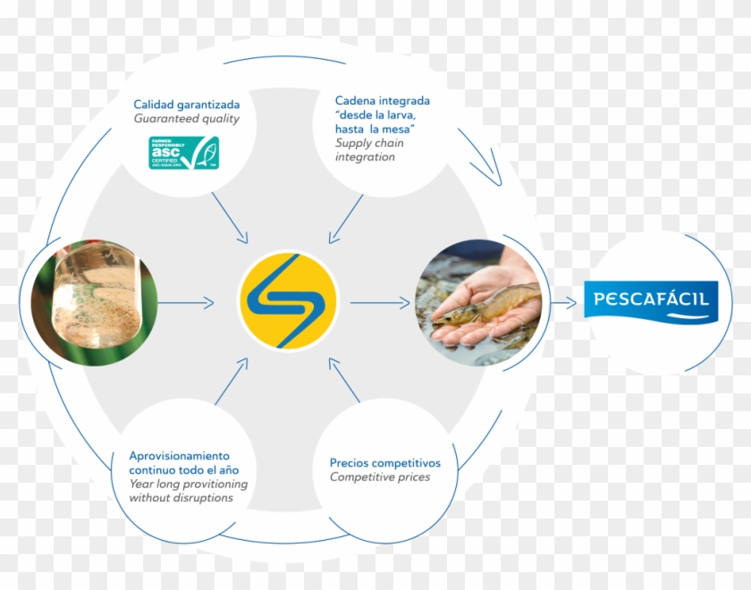 We Are Proud To Form Part Of The Lamar Group - Circle Clipart