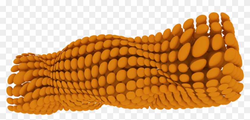 3d Grid - Corn Kernels Clipart #4601636