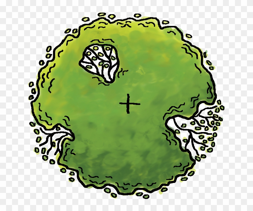 Alysse Kirkman Clipart