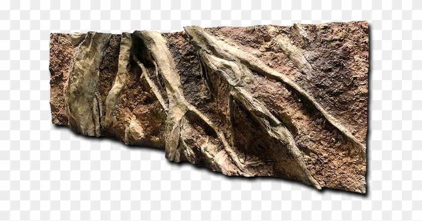 Trees Roots Rocks E22 Aquarium Background Aquadecor - Driftwood Clipart