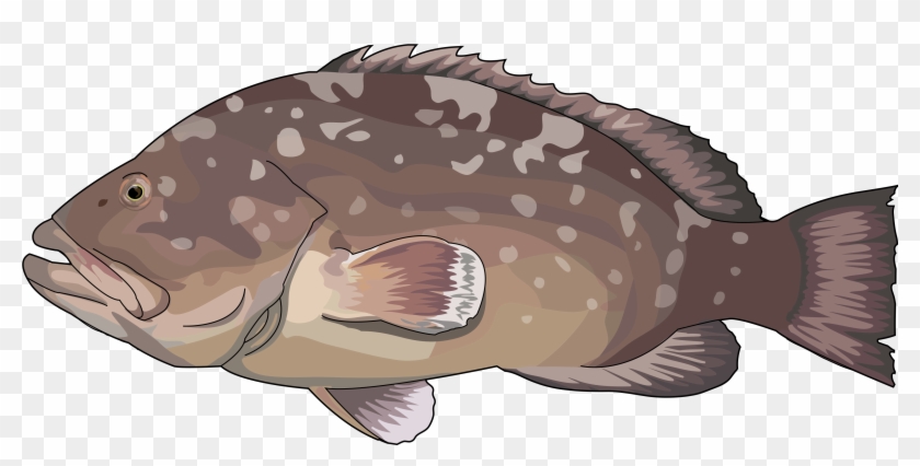 Mero - Mero Png Clipart #4602943