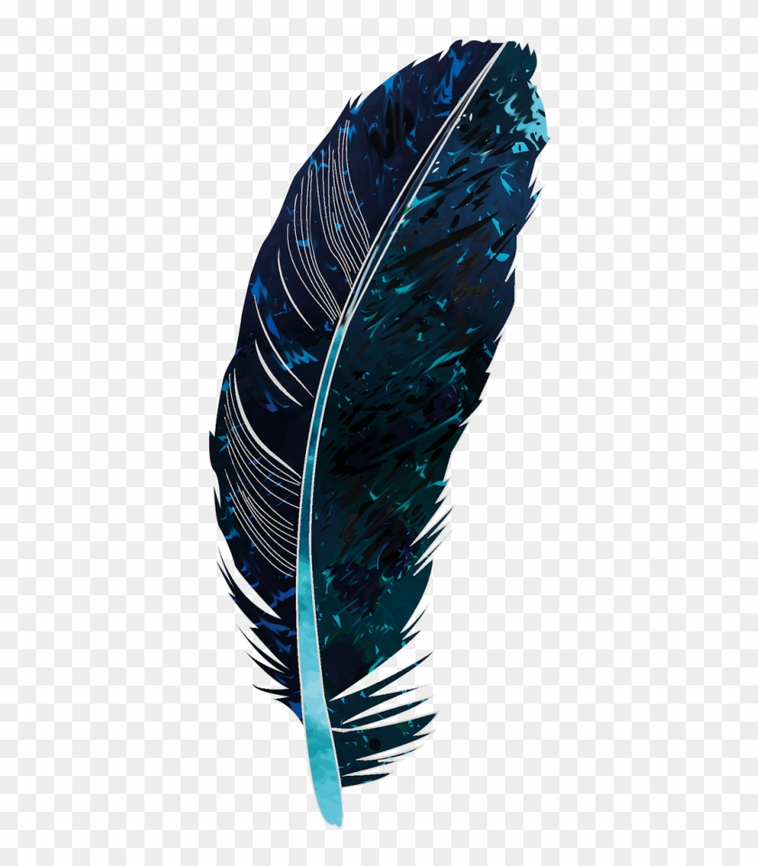 Feather,structure - Plumas Azules Con Fondo Negro Clipart