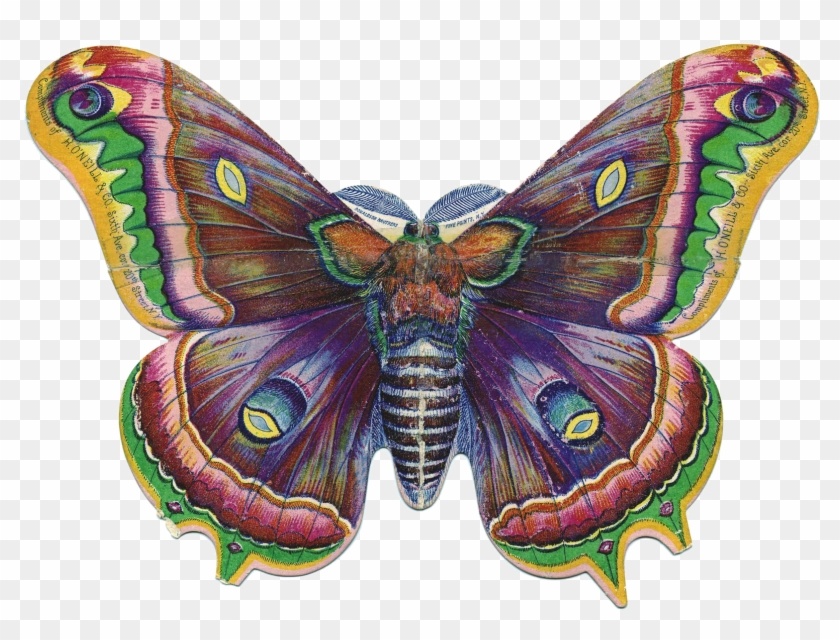 Бабочки - Png - - ♥ Creative Nn - Блог Альбины Рассеиной - Victorian Butterfly Png Clipart #4603729