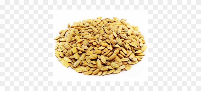 Arroz Cateto - Whole Grain Clipart #4604499