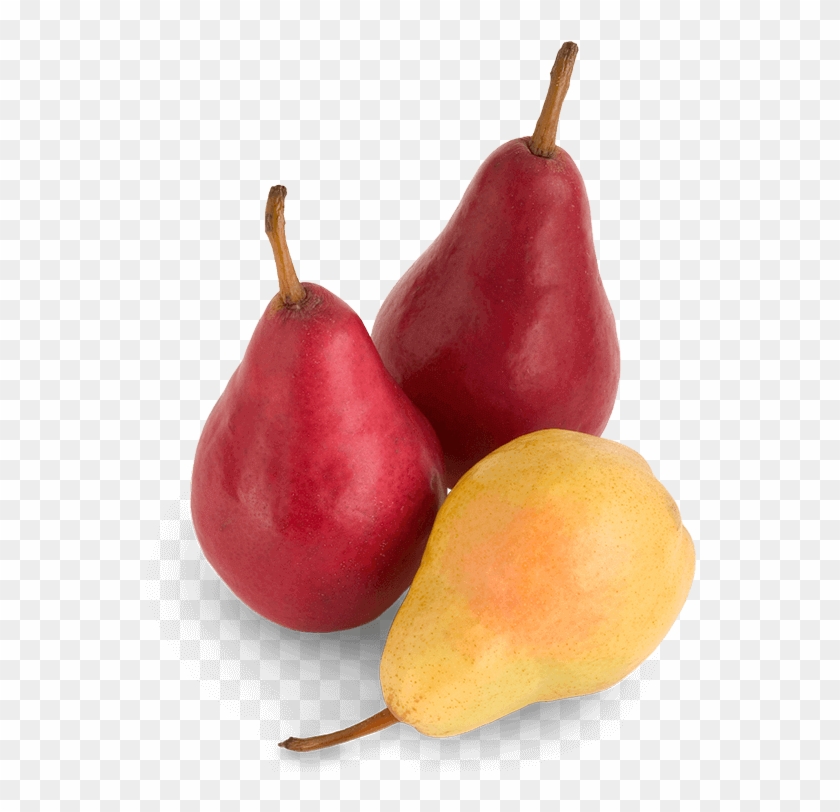 Bartlett And Starkrimson Pears - Natural Foods Clipart #4606310