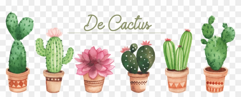 Tienda Online De Artículos De Cactus - San Pedro Cactus Clipart #4606740