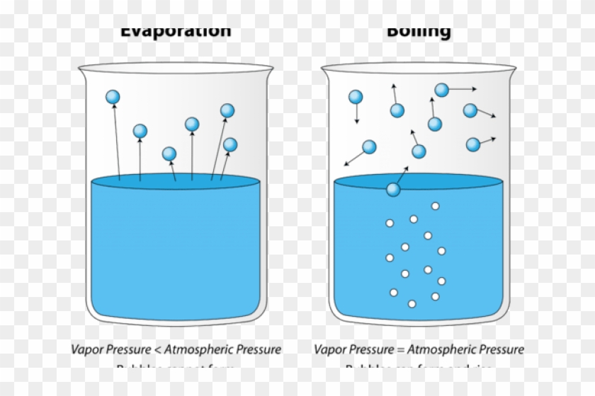 Bubble Clipart Water Vapour - Surface Evaporation - Png Download