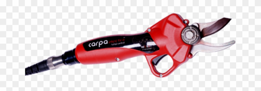 Tesoura De Podar Carpa Electro Lítio - Tesoura De Poda Eletrica Preços Clipart #4608097