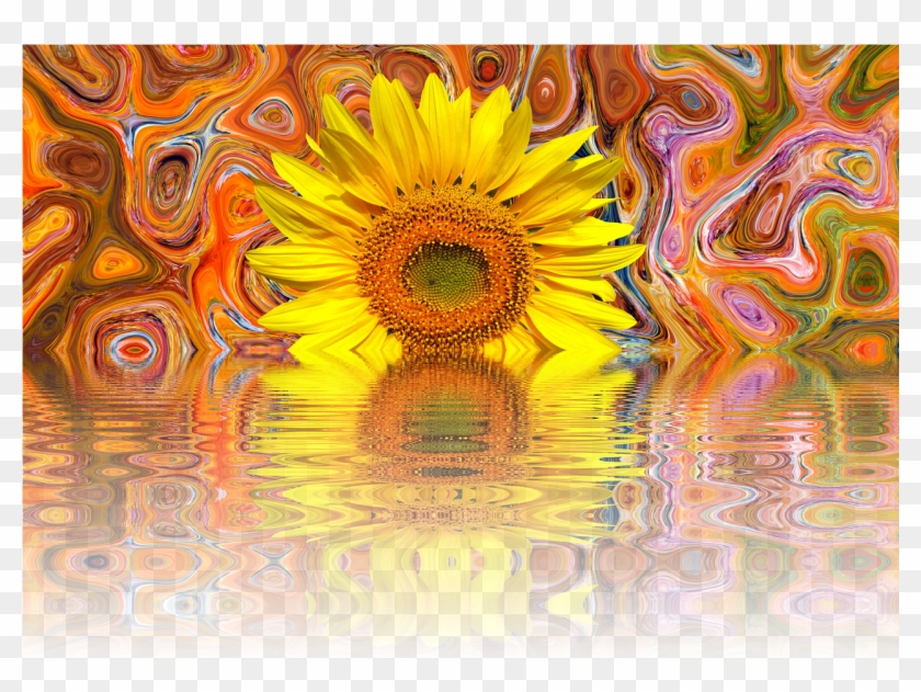 Sun Flower Summer Late Summer - Sunflower Clipart #4608228