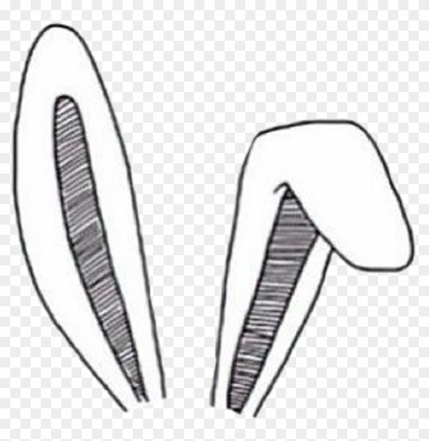 Bunny Head Png Clipart #4608654