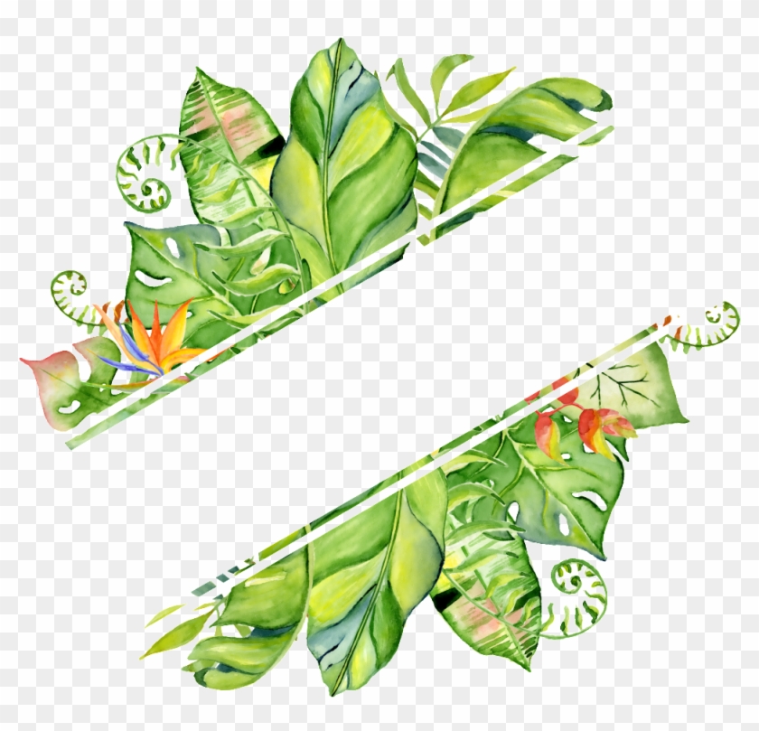 Pintado A Mano En Png Transparente Png Rendering Hojas Clipart #4608867