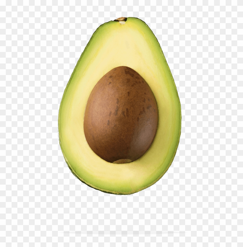 Think Avocados - Avocado Clipart #4609816