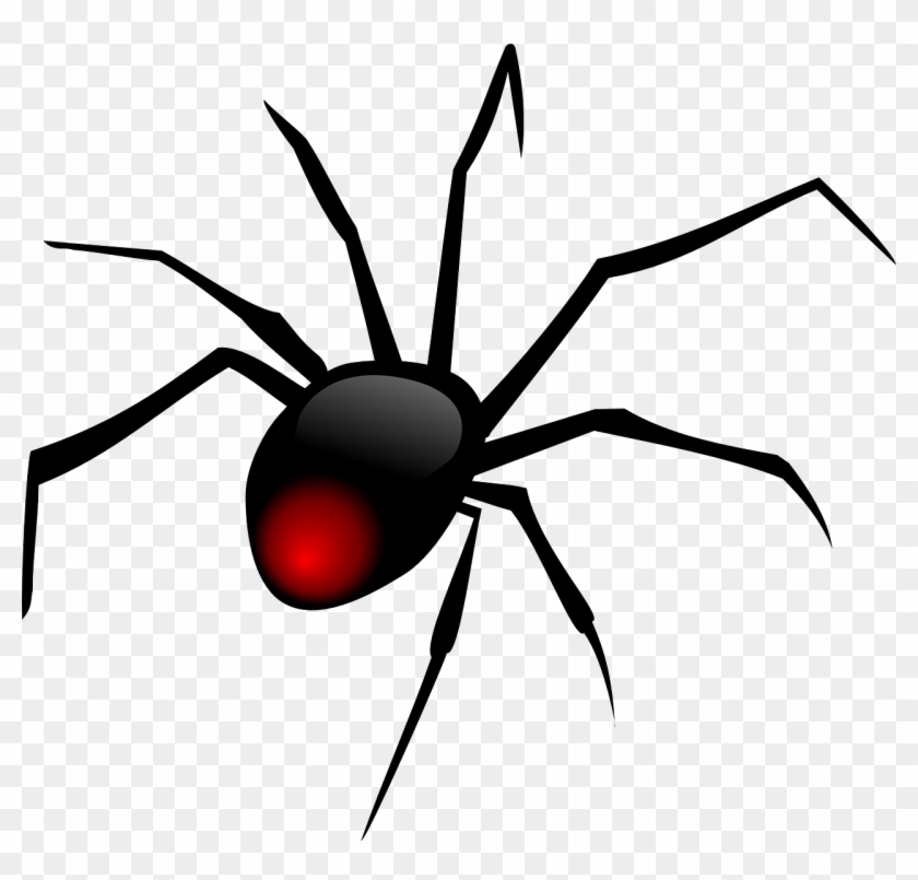Dibujo Araña Png - Red Back Spider Clipart Transparent Png