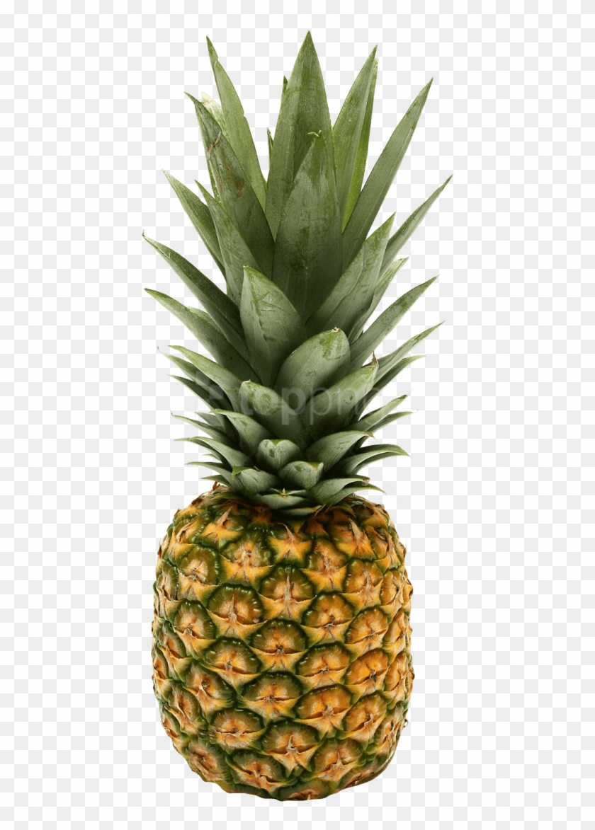 Free Png Two Pineapple Png Images Transparent - Rick And Morty Pineapple Clipart #4610686