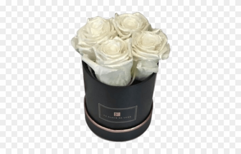 White Pearl Roses In Extra Small Black Round Box - Garden Roses Clipart