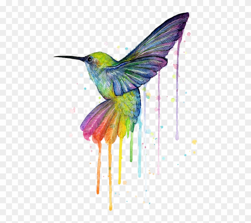 #hummingbird #bird #rainbow #watercolor #rainbowhummingbirf - Hummingbird Of Watercolor Rainbow Clipart #4611524