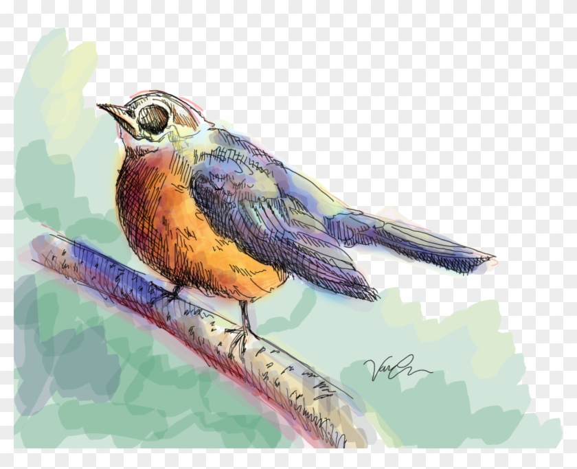 Watercolor Bird Png Clipart