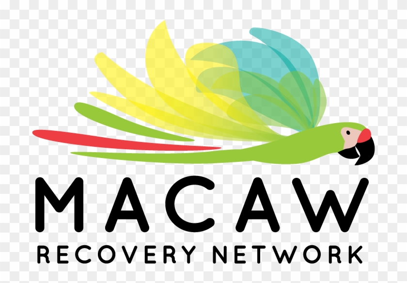 For Further Communications And Information About Macaw - Eac Network Clipart #4611640