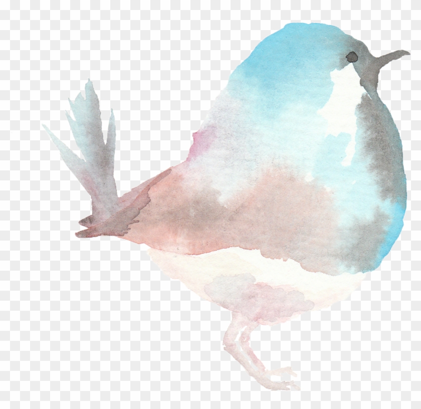 Illustration Clipart