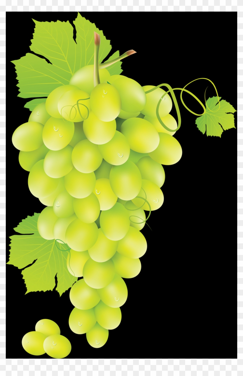 Grape Green Png Clipart #4611711