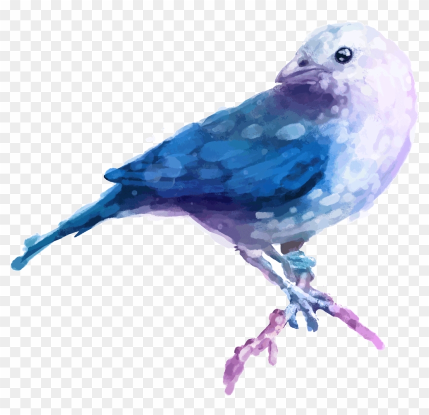 Beautiful Watercolor Bird Ceramic Coffee Mug , Png - Watercolor Painting Clipart