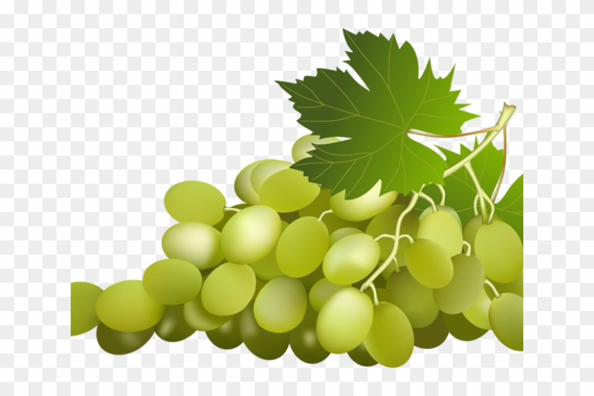 Grapes Clipart Grape Leaf - Green Grapes Clipart - Png Download #4611851