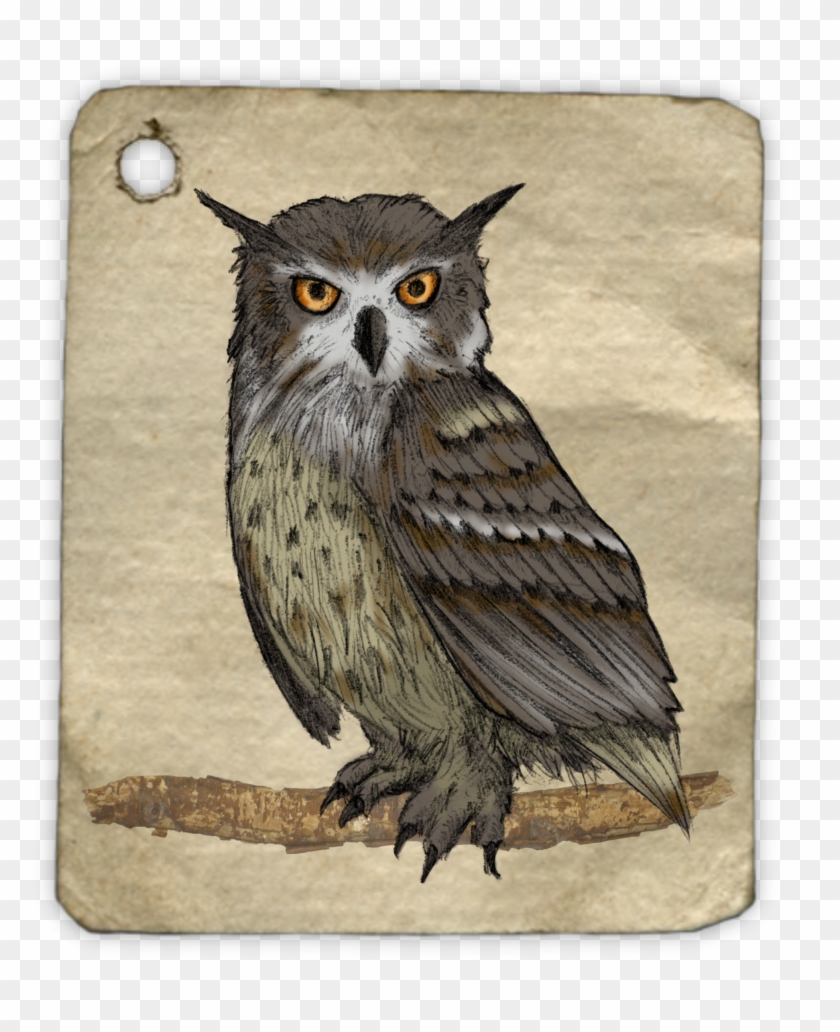 Owl Painting Watercolor Animal Tag 1485637 - Lukisan Hewan Burung Hantu Clipart #4611855