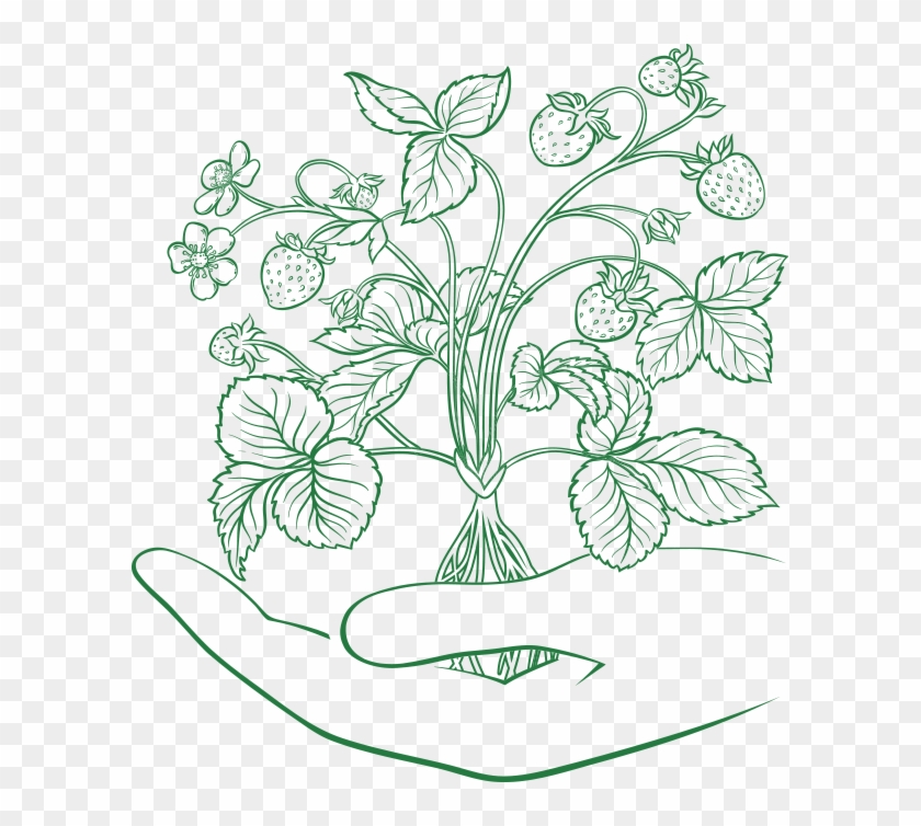 Our Story - Line Art Clipart #4612476