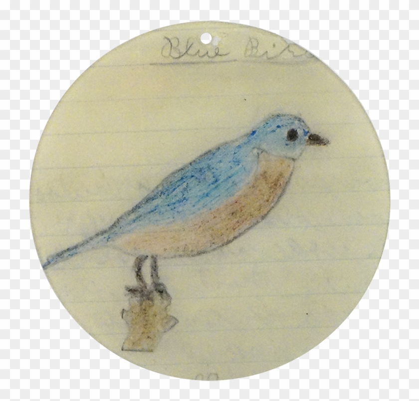 Mountain Bluebird Clipart #4612663