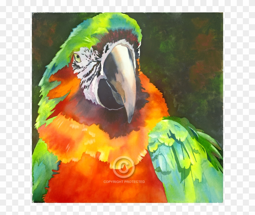Anne Abgott Gallery - Macaw Clipart #4612699