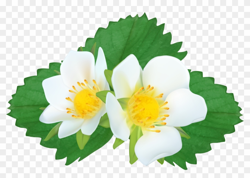View Full Size - Water Lily Clipart #4612789