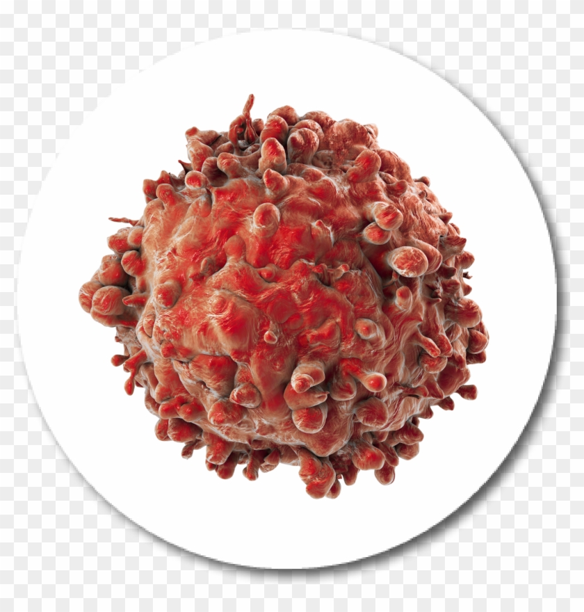 Download Png Clipart