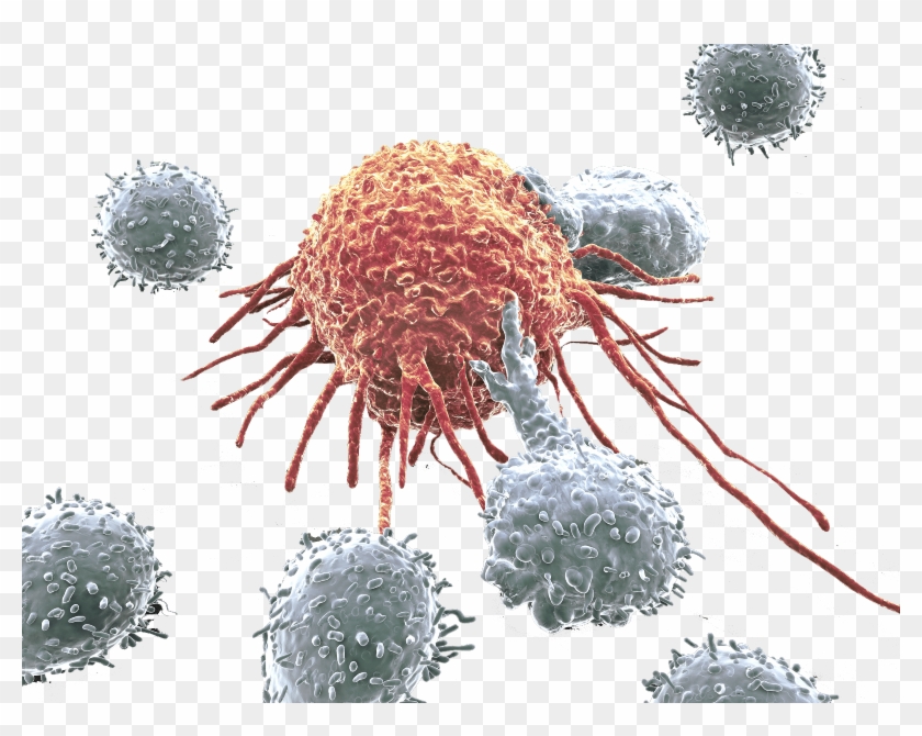Cancer Cell Hero - Transparent Cancer Cells Png Clipart #4613546