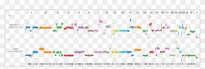 1 Whole-genome Sequencing Of Two Lung Cancer Cell Lines - Nanopore Cancer Clipart #4614141